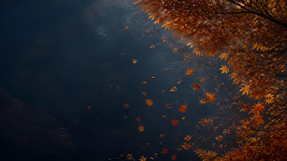 A Japanese maple cluster releases a diagonal fall of persimmon, amber, and oxblood into slate-blue air.