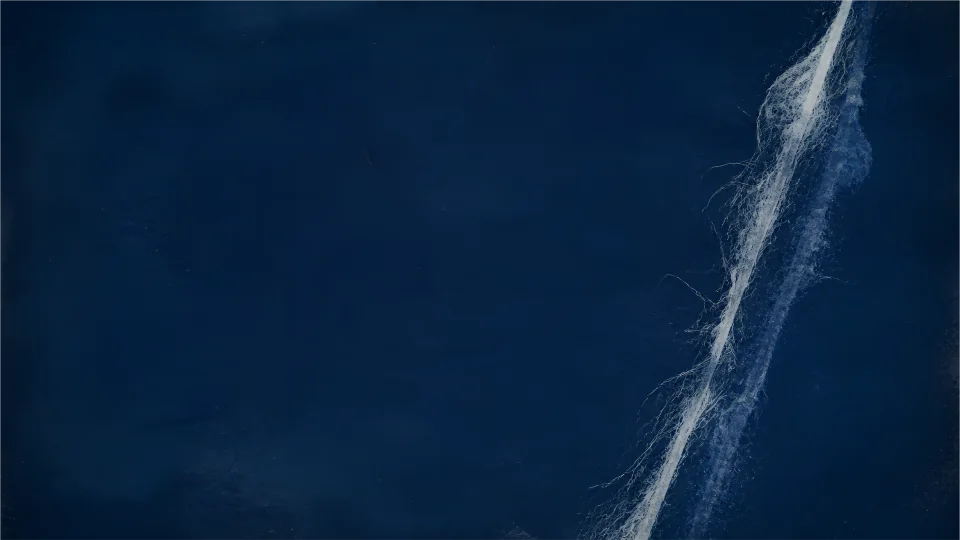 A pale fiber contact and its ultramarine registration echo cross a vast archival indigo field.