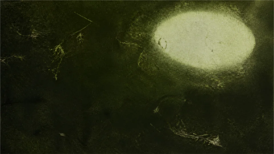 A soft exposure void and pale fiber residue dissolve into a deep moss-and-carbon print.