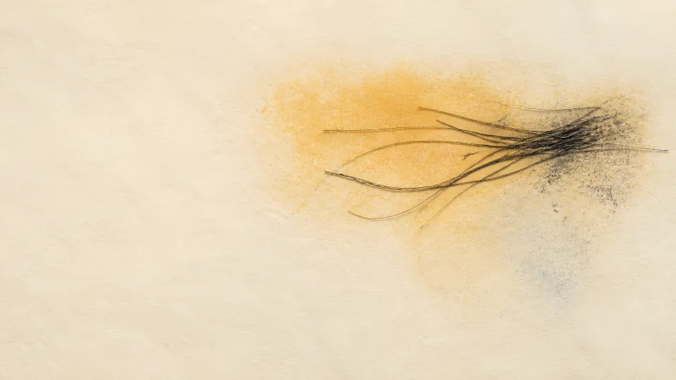 A loose black thread bundle crosses one saffron pigment cloud on warm cotton rag.